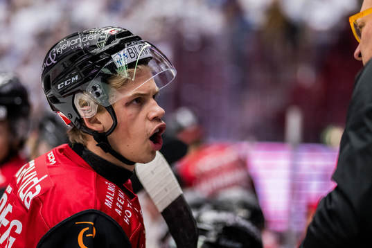 Malmö Redhawks Albert Sjöberg