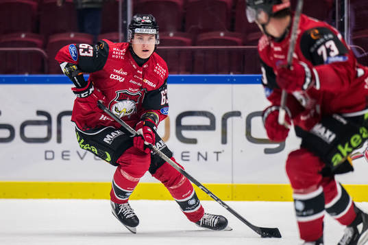 Malmö Redhawks Fredrik Händemark