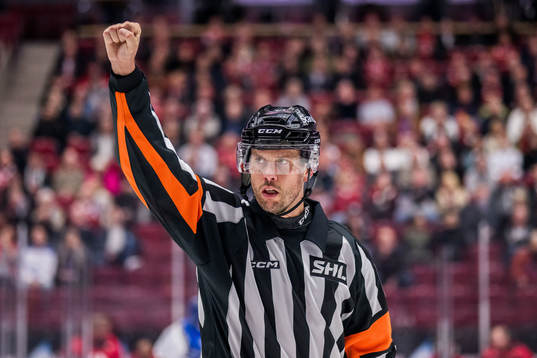 Domare Johan Magnusson