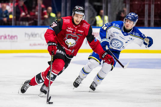 Malmö Redhawks Jakub Galvas och Leksands Arvid Eljas