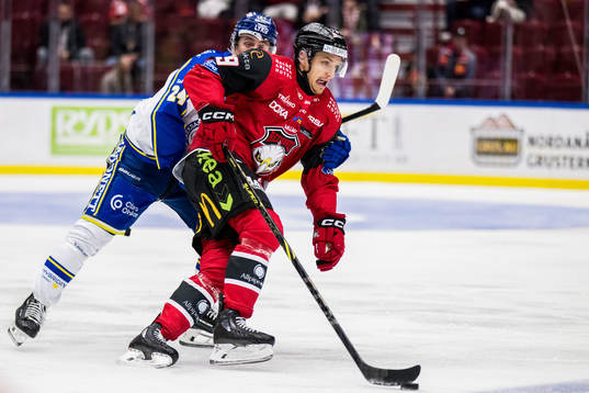 Leksands Arvid Eljas och Malmö Redhawks Jakub Galvas