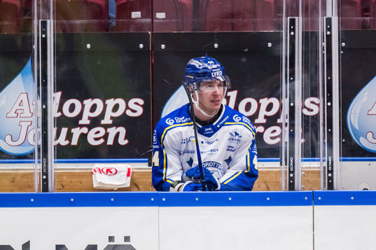Leksands Carter Ashton i utvisningsbåset