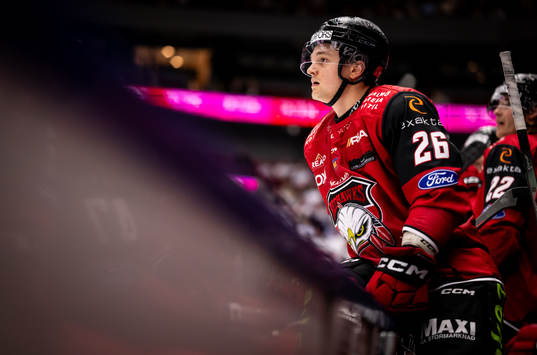 Bläddra bland fler bilder av Ishockey, SHL, Malmö Redhawks - Leksand