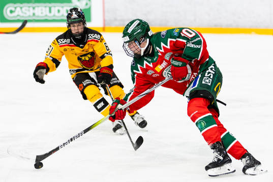 Bläddra bland fler bilder av Ishockey, SDHL, Frölunda - Luleå