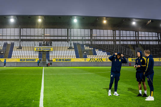 Players of Sweden