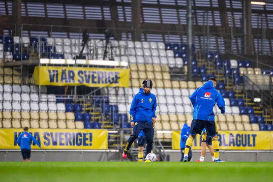 Players of Sweden