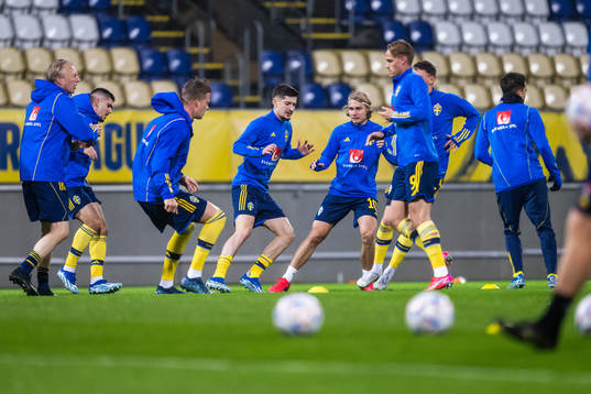 Armin Gigovic and Sebastian Nanasi of Sweden