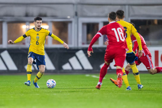 Armin Gigovic of Sweden