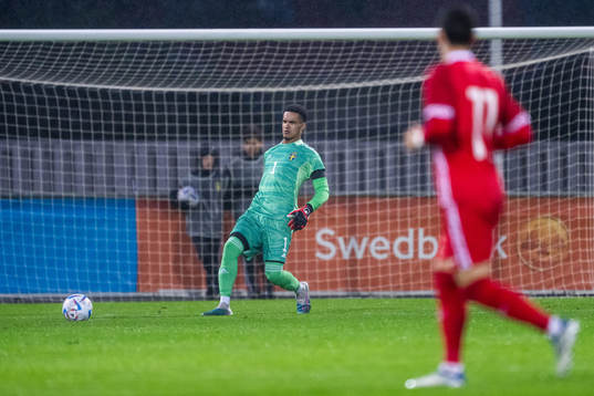 Goalkeeper Oliver Dovin of Sweden