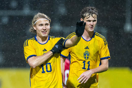 Sebastian Nanasi and Williot Swedberg of Sweden celebrate