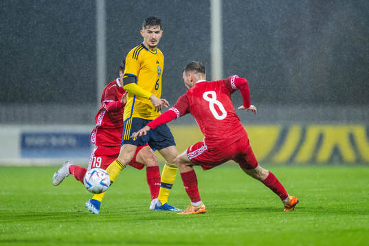 Armin Gigovic of Sweden and Vicu Bulmaga of Moldova