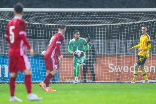 Goalkeeper Oliver Dovin of Sweden