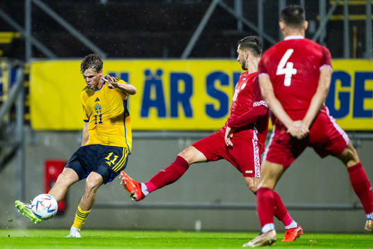 Williot Swedberg of Sweden and Mihai Dolghi of Moldova