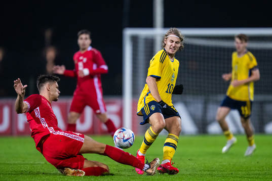 Iurie Iovu of Moldova and Sebastian Nanasi of Sweden