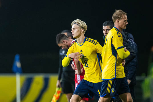 Lucas Bergvall is substituted