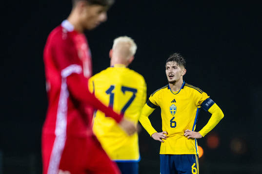 Armin Gigovic of Sweden