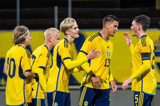 Lucas Bergvall of Sweden celebrates with Sebastian Nanasi,
