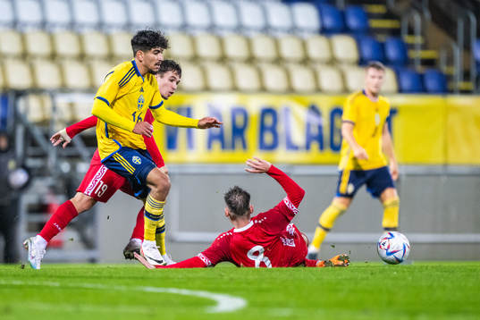Ahmed Qasem of Sweden and Vicu Bulmaga of Moldova