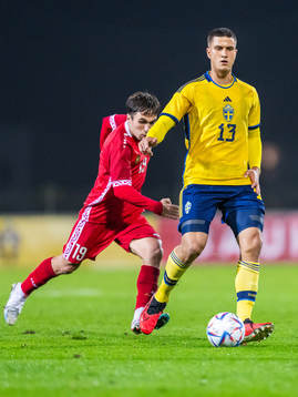 Mihai Lupan of Moldova and Zinedin Smajlovic of Sweden