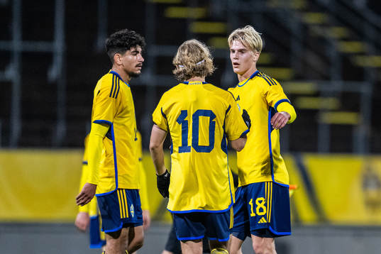 Ahmed Qasem, Sebastian Nanasi and Lucas Bergvall of Sweden