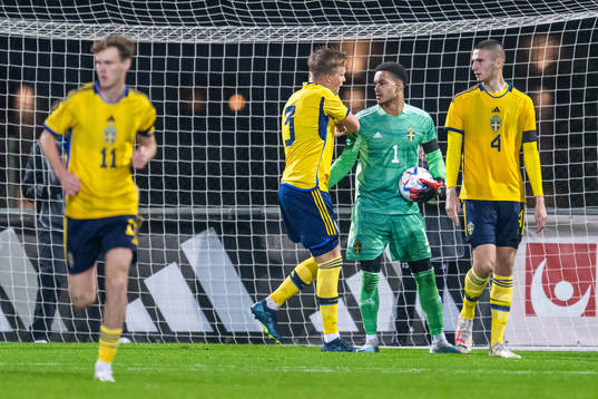 Goalkeeper Oliver Dovin of Sweden celebrates with Casper