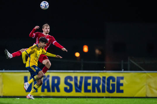 Ahmed Qasem of Sweden and Nichita Covali of Moldova