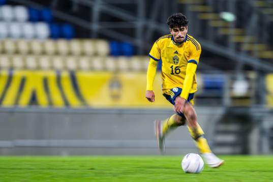 Ahmed Qasem of Sweden