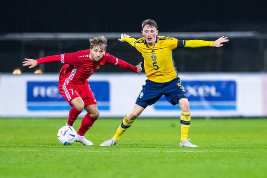Ilie Botnari of Moldova and Noah Persson of Sweden