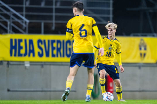 Lucas Bergvall of Sweden