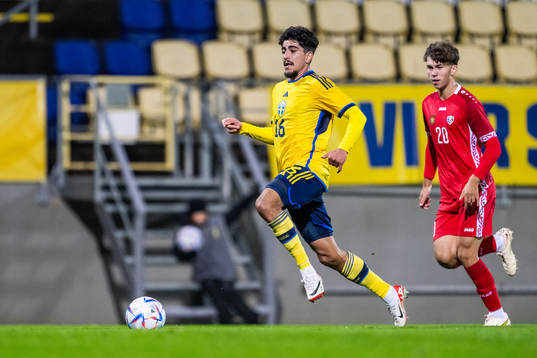 Ahmed Qasem of Sweden and Leonard Saca of Moldova