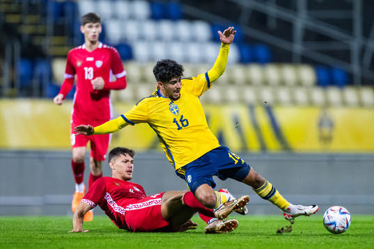 Iurie Iovu of Moldova and Ahmed Qasem of Sweden