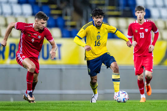 Iurie Iovu of Moldova and Ahmed Qasem of Sweden