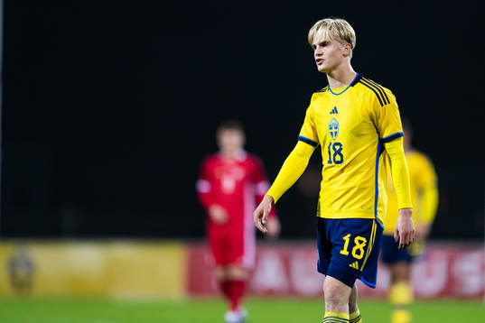 Lucas Bergvall of Sweden