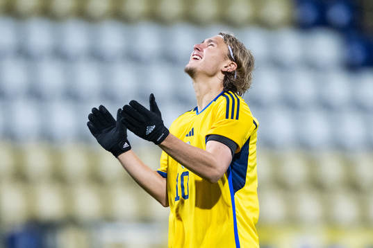 Sebastian Nanasi of Sweden looks dejected