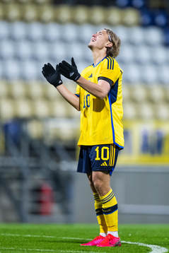 Sebastian Nanasi of Sweden looks dejected
