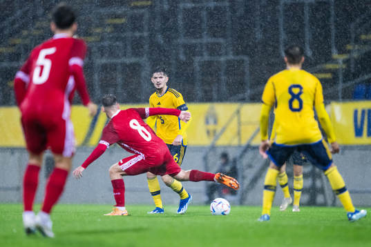Armin Gigovic of Sweden