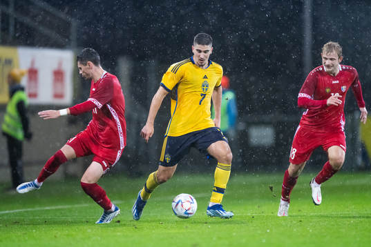 Daniel Danu of Moldova and Mayckel Lahdo of Sweden