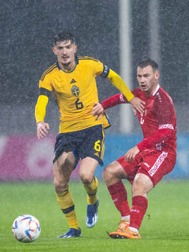 Armin Gigovic of Sweden and Vicu Bulmaga of Moldova
