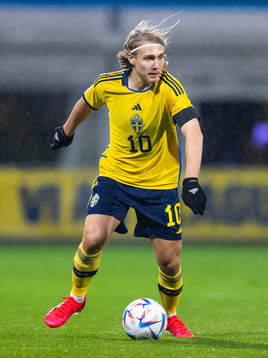 Sebastian Nanasi of Sweden