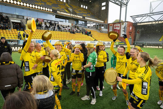 Elfsborgs spelare jublar