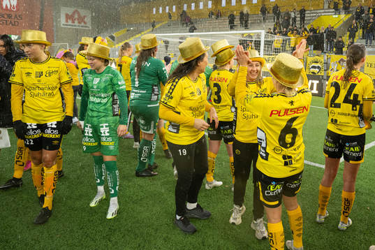 Elfsborgs spelare jublar