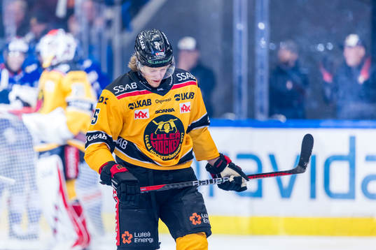 Luleås Marcus Hardegård deppar