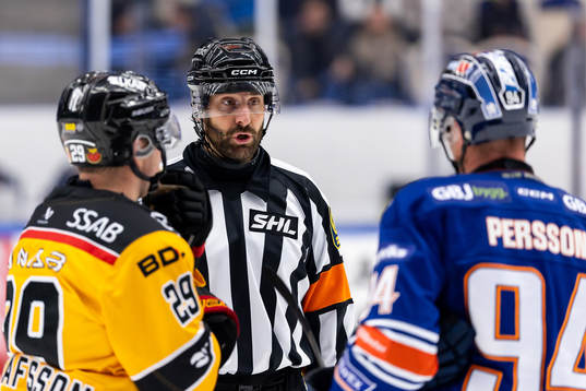 Domare Mikael Sjöqvist pratar med Luleås Erik Gustafsson