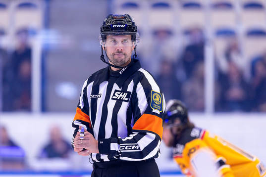 Domare Johan Magnusson