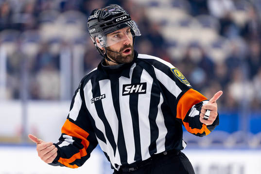 Domare Mikael Sjöqvist