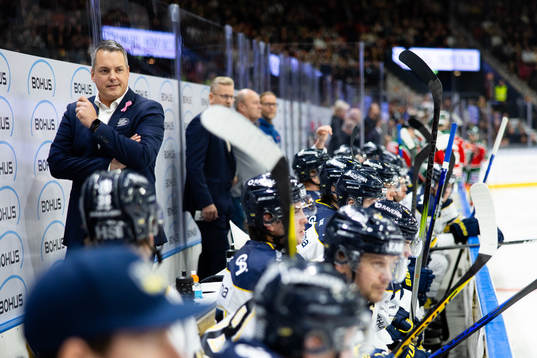 HV71s tränare Tomas Montén