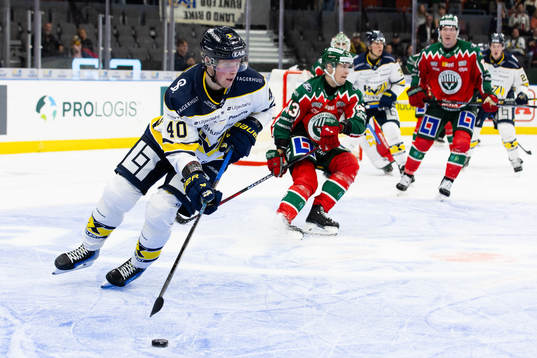 HV71s Oskar Stål-Lyrenäs