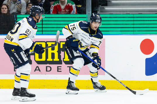 HV71s André Petersson och Radan Lenc