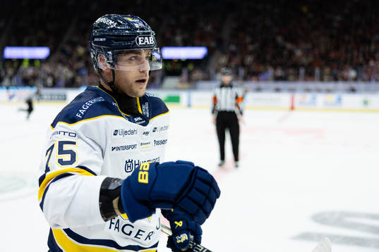 HV71s Radan Lenc jublar