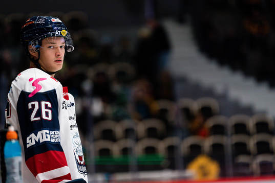 Linköpings Fabian Wagner